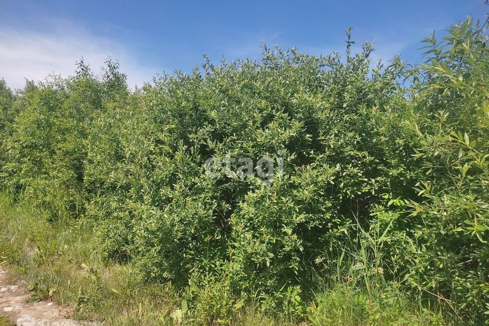 земля г Тюмень снт Зеленая Роща городской округ Тюмень, 11-я улица фото 10