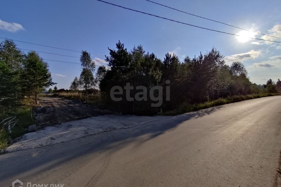 земля г Тюмень снт Светлячок городской округ Тюмень, 2-я улица фото 7