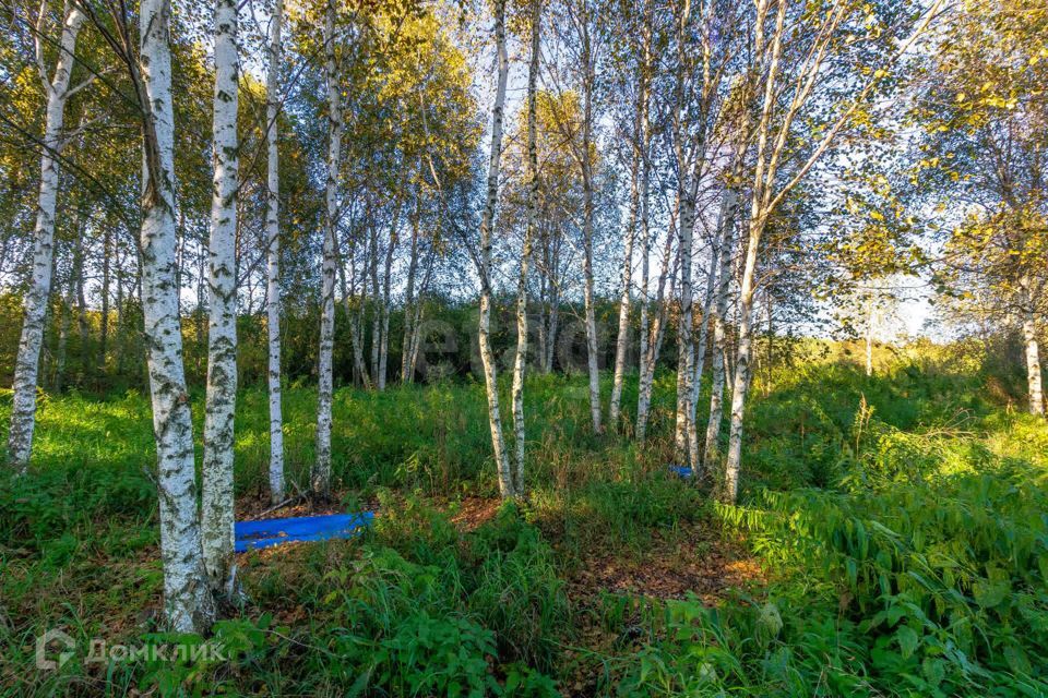 земля г Тюмень городской округ Тюмень, СНТ Облепиховое фото 5