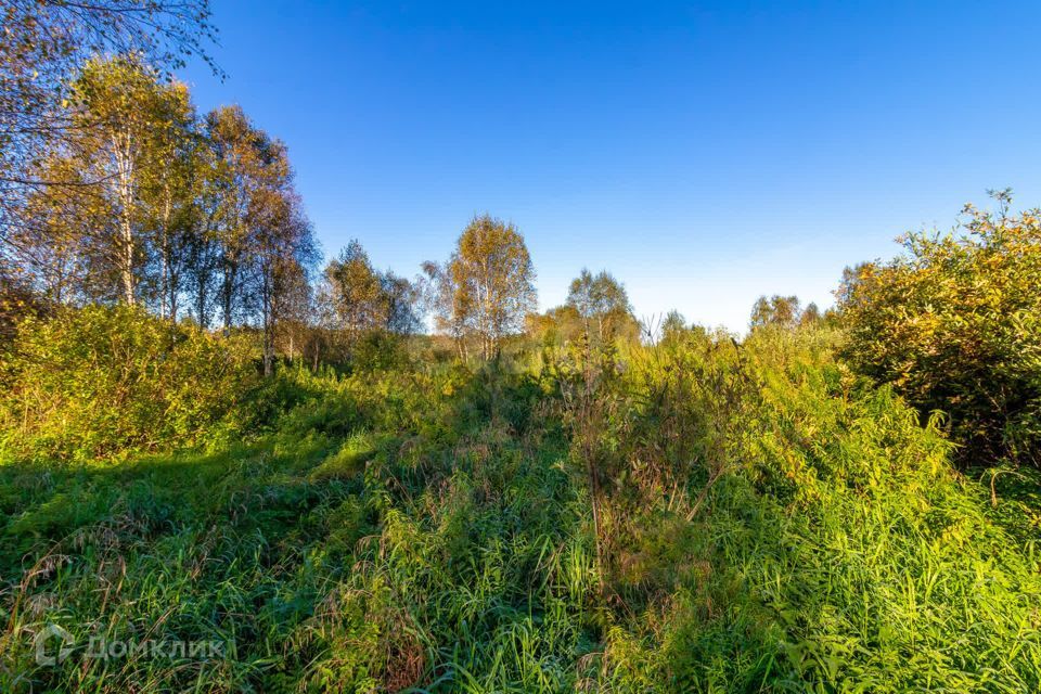 земля г Тюмень городской округ Тюмень, СНТ Облепиховое фото 5