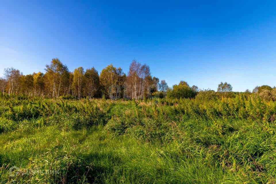 земля г Тюмень городской округ Тюмень, СНТ Облепиховое фото 5