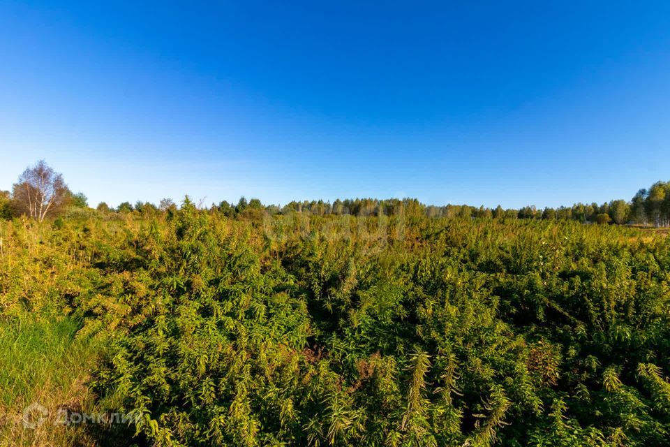 земля г Тюмень городской округ Тюмень, СНТ Облепиховое фото 9