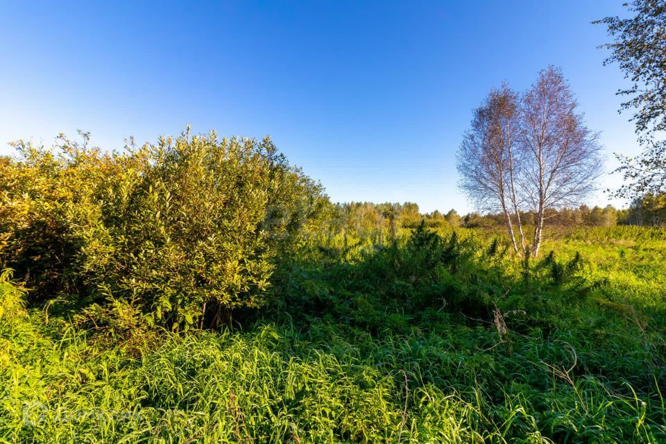 земля г Тюмень городской округ Тюмень, СНТ Облепиховое фото 7