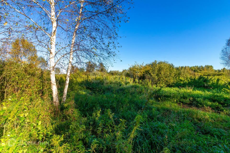 земля г Тюмень городской округ Тюмень, СНТ Облепиховое фото 6