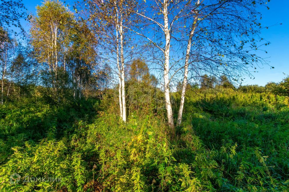 земля г Тюмень городской округ Тюмень, СНТ Облепиховое фото 9