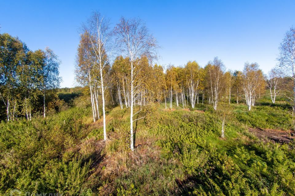 земля г Тюмень городской округ Тюмень, СНТ Облепиховое фото 8