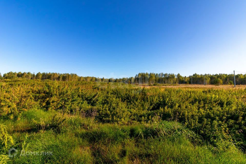 земля г Тюмень городской округ Тюмень, СНТ Облепиховое фото 10