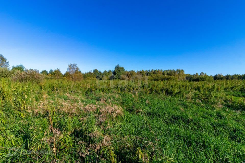 земля г Тюмень городской округ Тюмень, СНТ Облепиховое фото 9