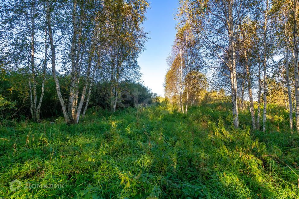 земля г Тюмень городской округ Тюмень, СНТ Облепиховое фото 8