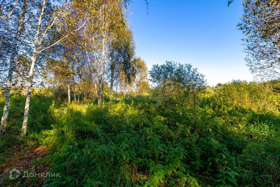 земля г Тюмень городской округ Тюмень, СНТ Облепиховое фото 9