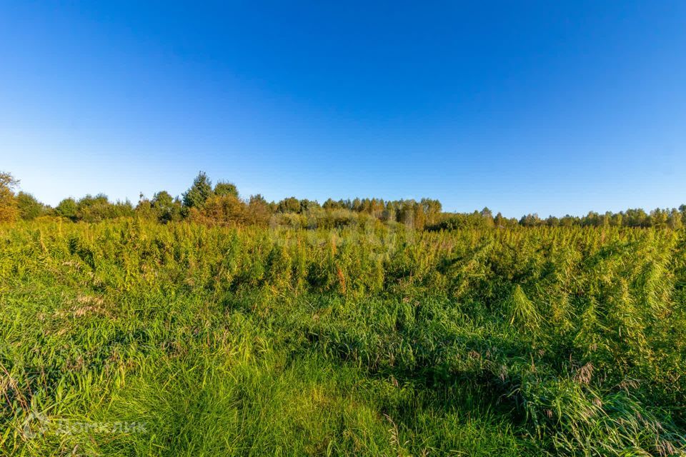 земля г Тюмень городской округ Тюмень, СНТ Облепиховое фото 10