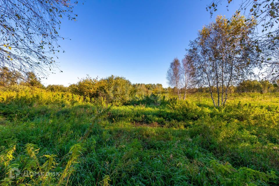 земля г Тюмень городской округ Тюмень, СНТ Облепиховое фото 10