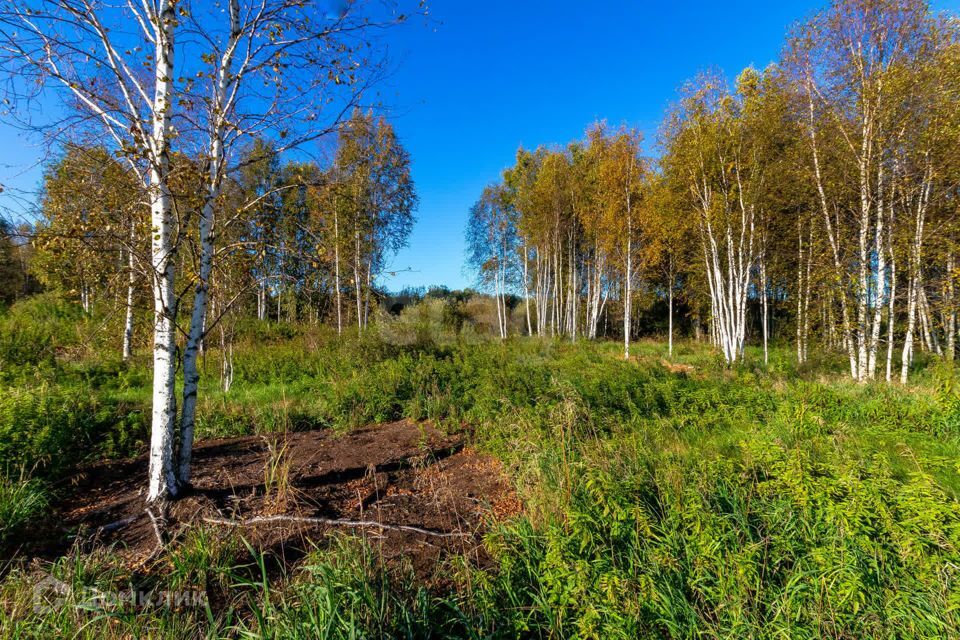 земля г Тюмень городской округ Тюмень, СНТ Облепиховое фото 10