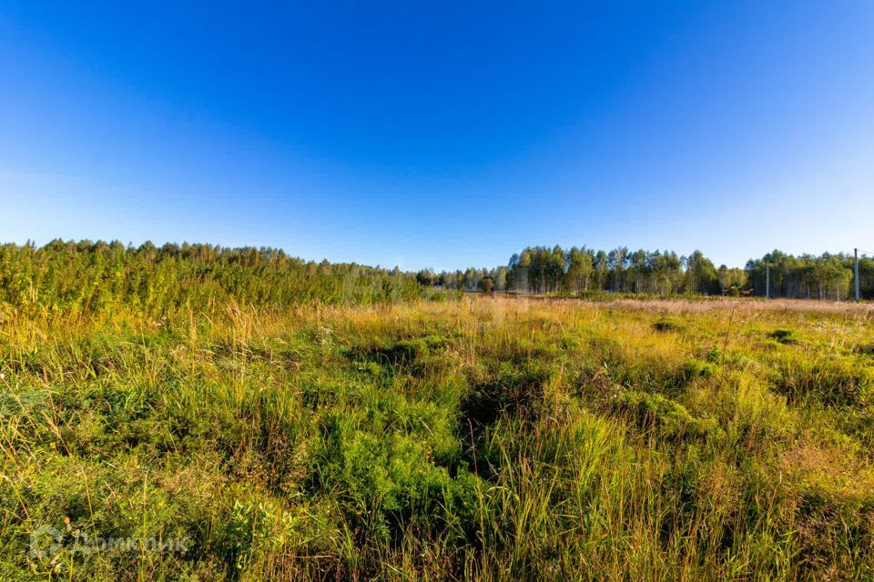 земля г Тюмень городской округ Тюмень, СНТ Облепиховое фото 6