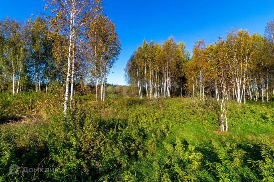 земля г Тюмень городской округ Тюмень, СНТ Облепиховое фото 9