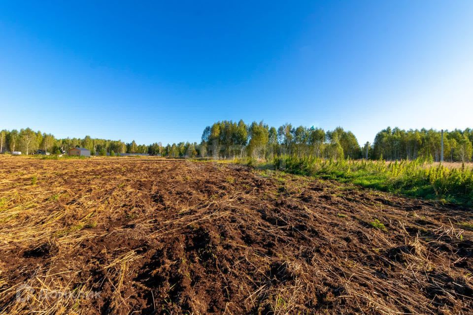 земля г Тюмень городской округ Тюмень, СНТ Облепиховое фото 6