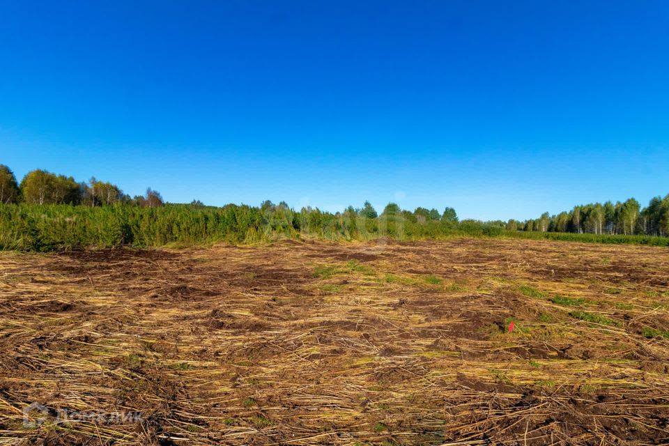 земля г Тюмень городской округ Тюмень, СНТ Облепиховое фото 5