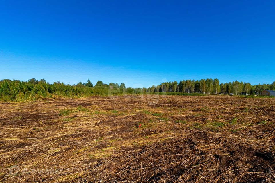 земля г Тюмень городской округ Тюмень, СНТ Облепиховое фото 8