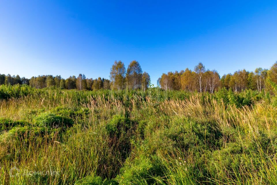 земля г Тюмень городской округ Тюмень, СНТ Облепиховое фото 7