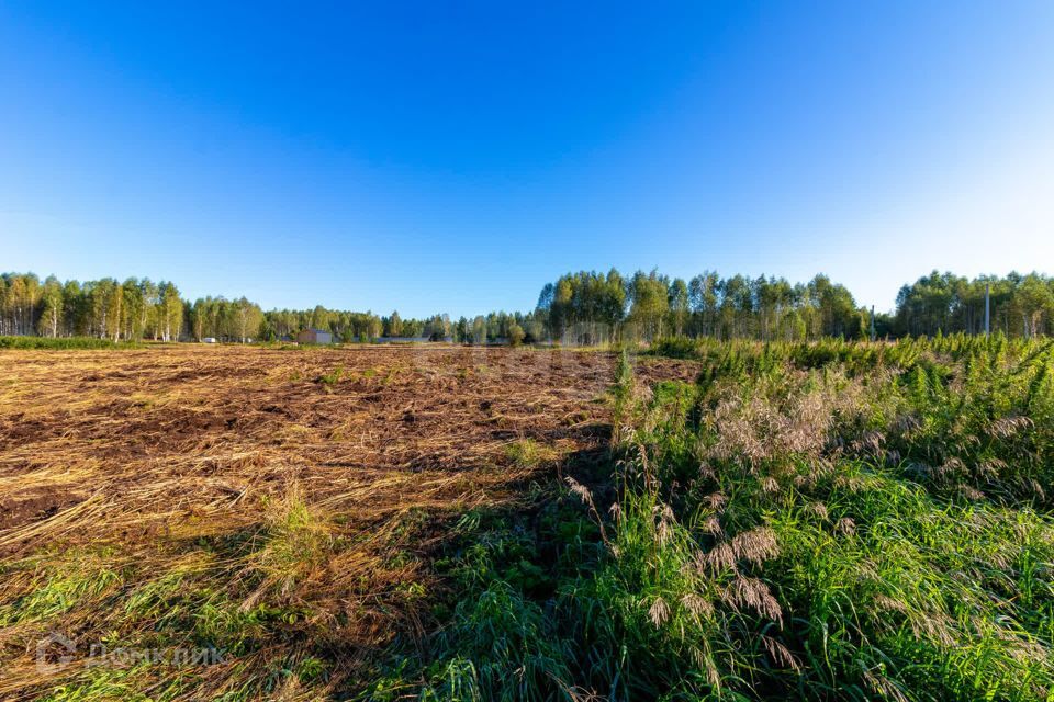 земля г Тюмень городской округ Тюмень, СНТ Облепиховое фото 5