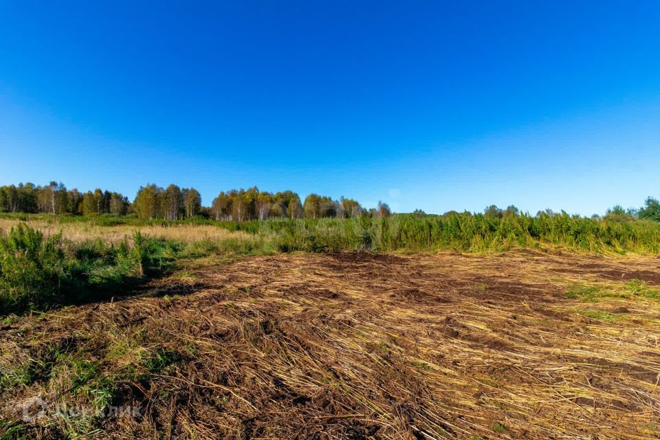 земля г Тюмень городской округ Тюмень, СНТ Облепиховое фото 9