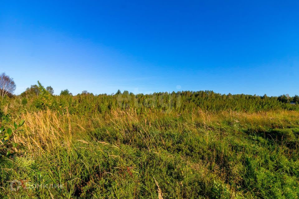 земля г Тюмень городской округ Тюмень, СНТ Облепиховое фото 9