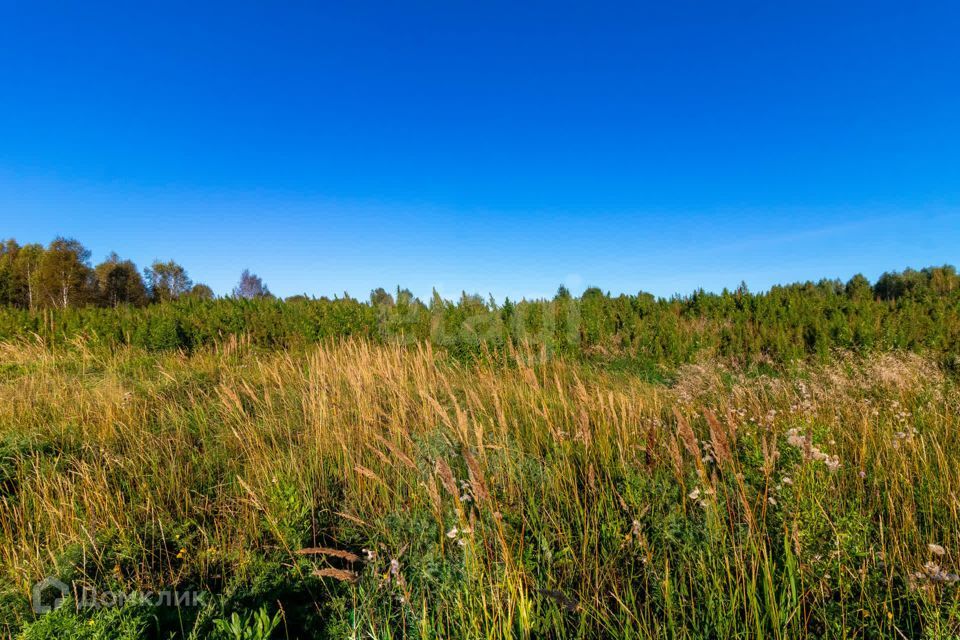 земля г Тюмень городской округ Тюмень, СНТ Облепиховое фото 7