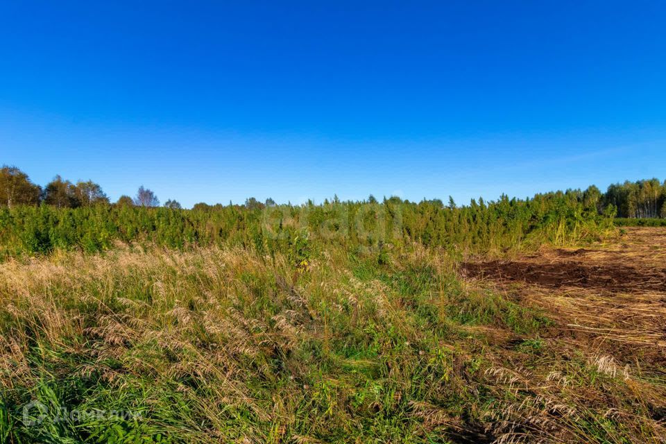 земля г Тюмень городской округ Тюмень, СНТ Облепиховое фото 6