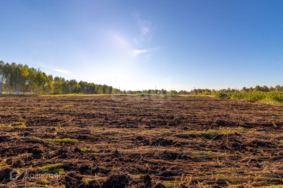 земля г Тюмень городской округ Тюмень, СНТ Облепиховое фото 8