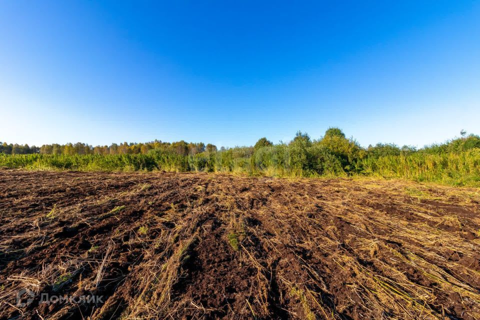 земля г Тюмень городской округ Тюмень, СНТ Облепиховое фото 9