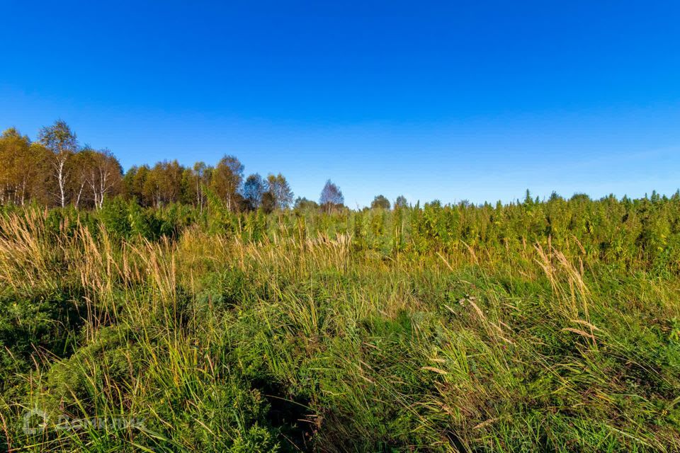 земля г Тюмень городской округ Тюмень, СНТ Облепиховое фото 10