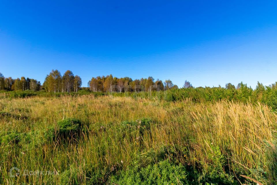 земля г Тюмень городской округ Тюмень, СНТ Облепиховое фото 10