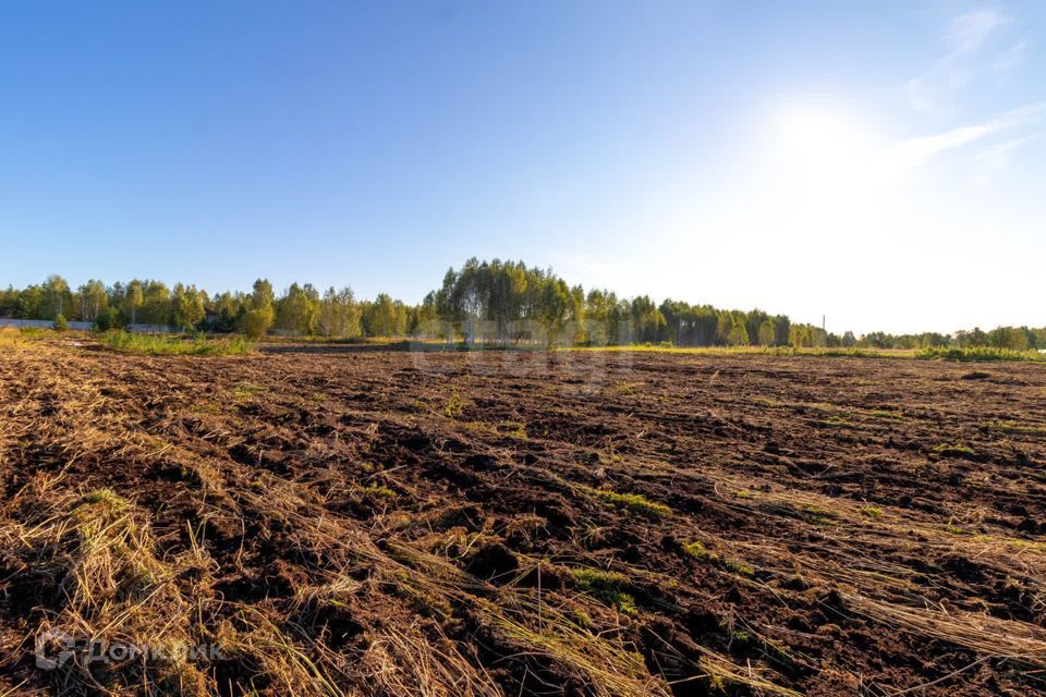 земля г Тюмень городской округ Тюмень, СНТ Облепиховое фото 10