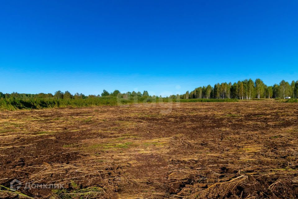 земля г Тюмень городской округ Тюмень, СНТ Облепиховое фото 5