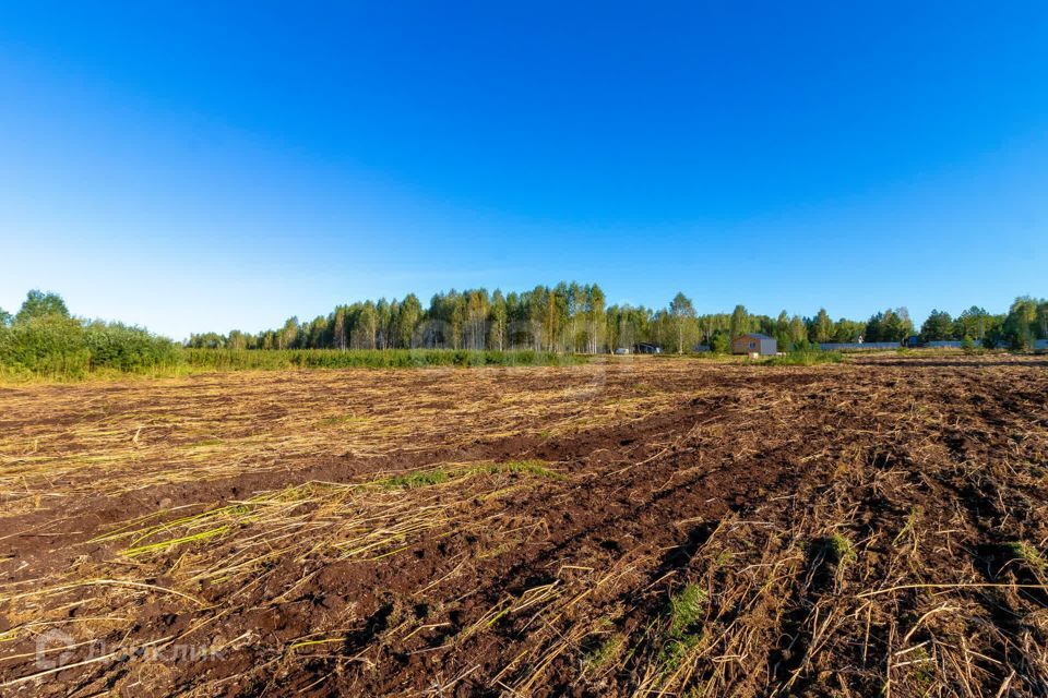 земля г Тюмень городской округ Тюмень, СНТ Облепиховое фото 5