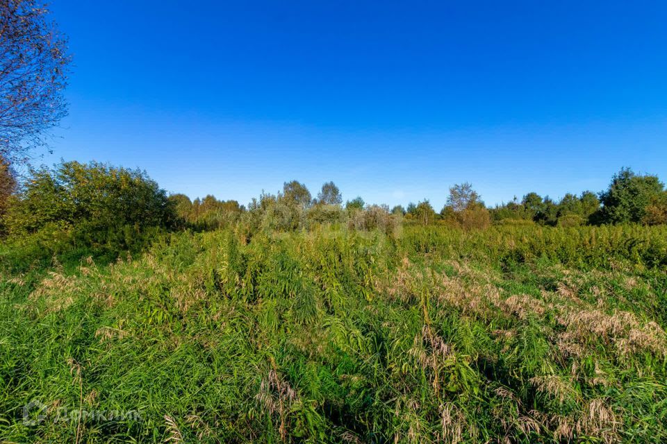 земля г Тюмень городской округ Тюмень, СНТ Облепиховое фото 7