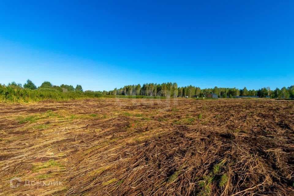 земля г Тюмень городской округ Тюмень, СНТ Облепиховое фото 6