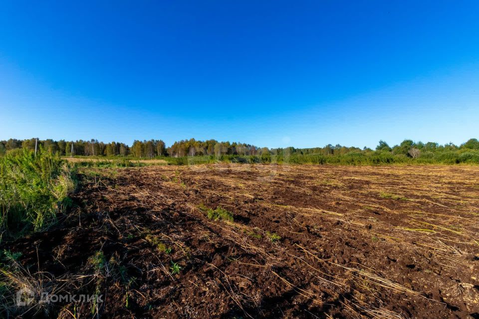 земля г Тюмень городской округ Тюмень, СНТ Облепиховое фото 6