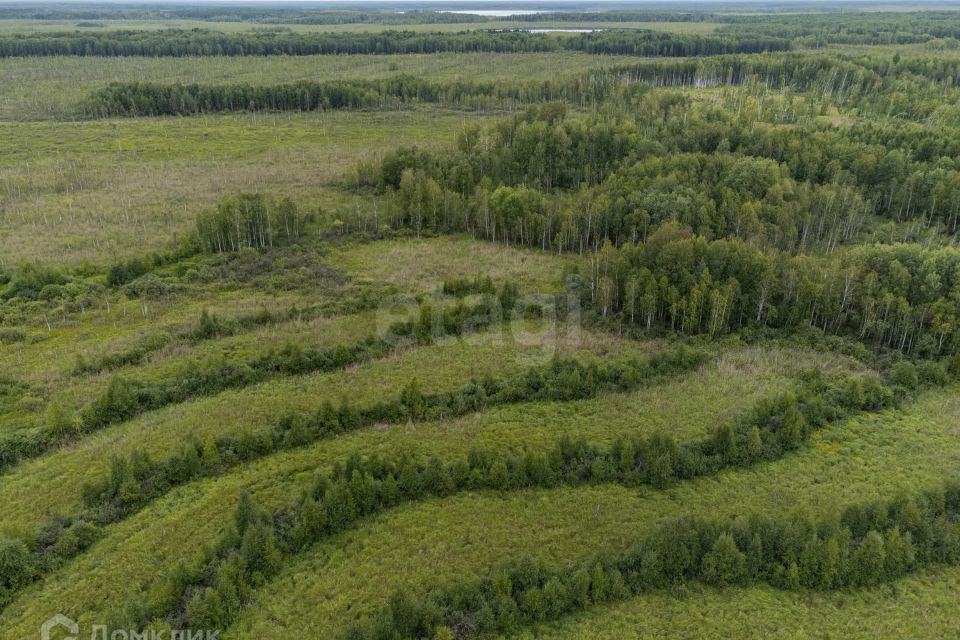 земля р-н Нижнетавдинский фото 5