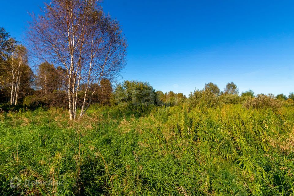 земля г Тюмень городской округ Тюмень, СНТ Облепиховое фото 8