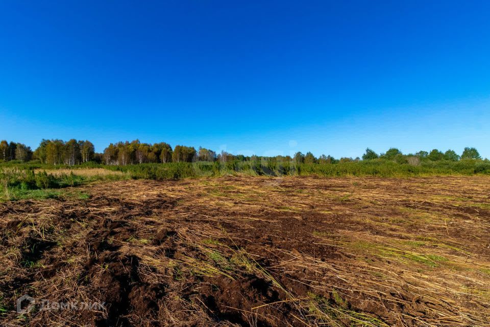 земля г Тюмень городской округ Тюмень, СНТ Облепиховое фото 7