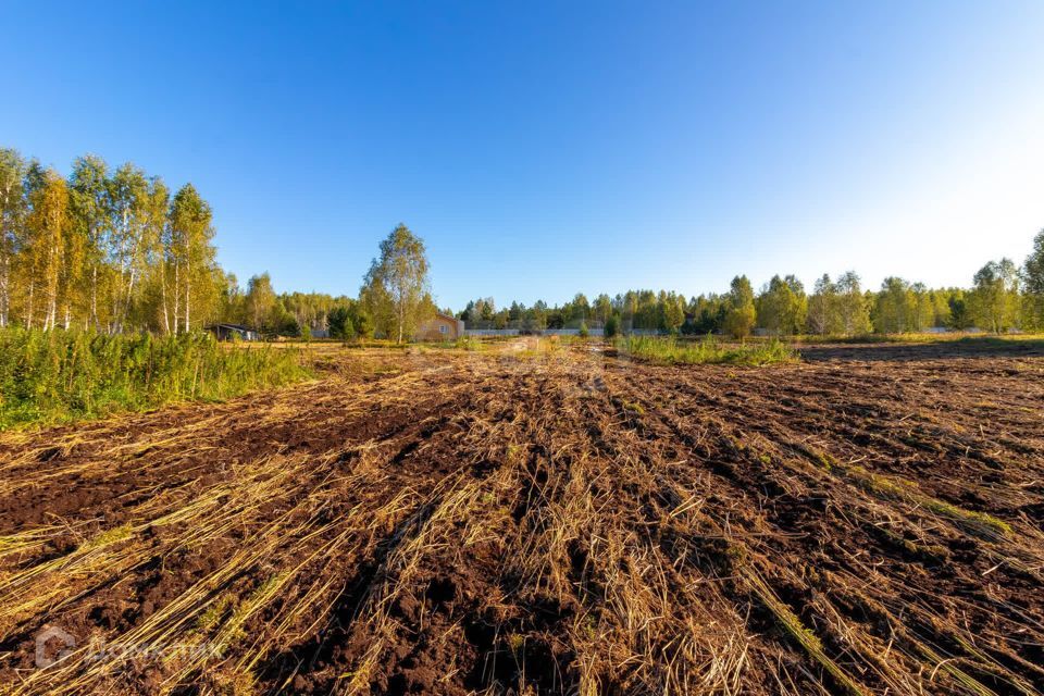 земля г Тюмень городской округ Тюмень, СНТ Облепиховое фото 6