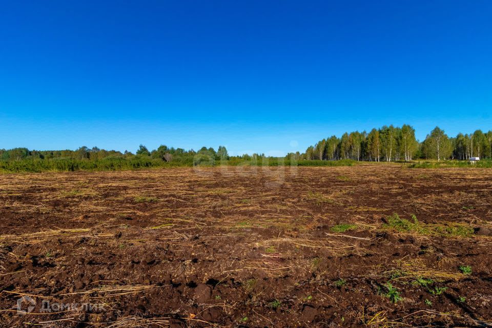 земля г Тюмень городской округ Тюмень, СНТ Облепиховое фото 7