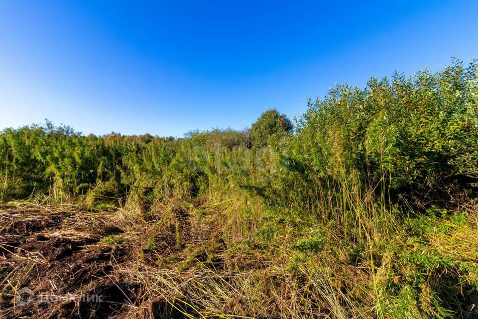 земля г Тюмень городской округ Тюмень, СНТ Облепиховое фото 8