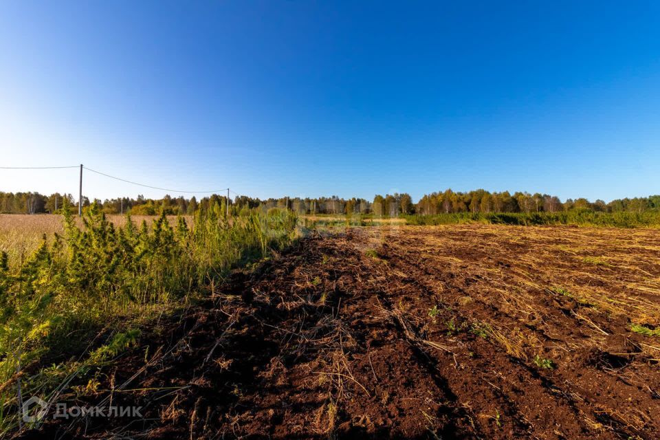 земля г Тюмень городской округ Тюмень, СНТ Облепиховое фото 8