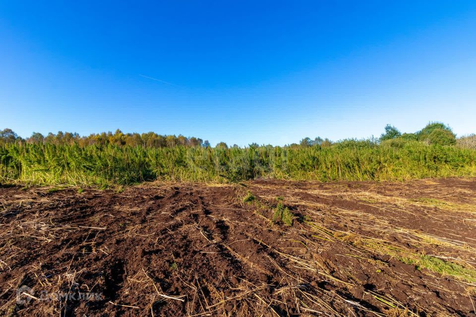 земля г Тюмень городской округ Тюмень, СНТ Облепиховое фото 9