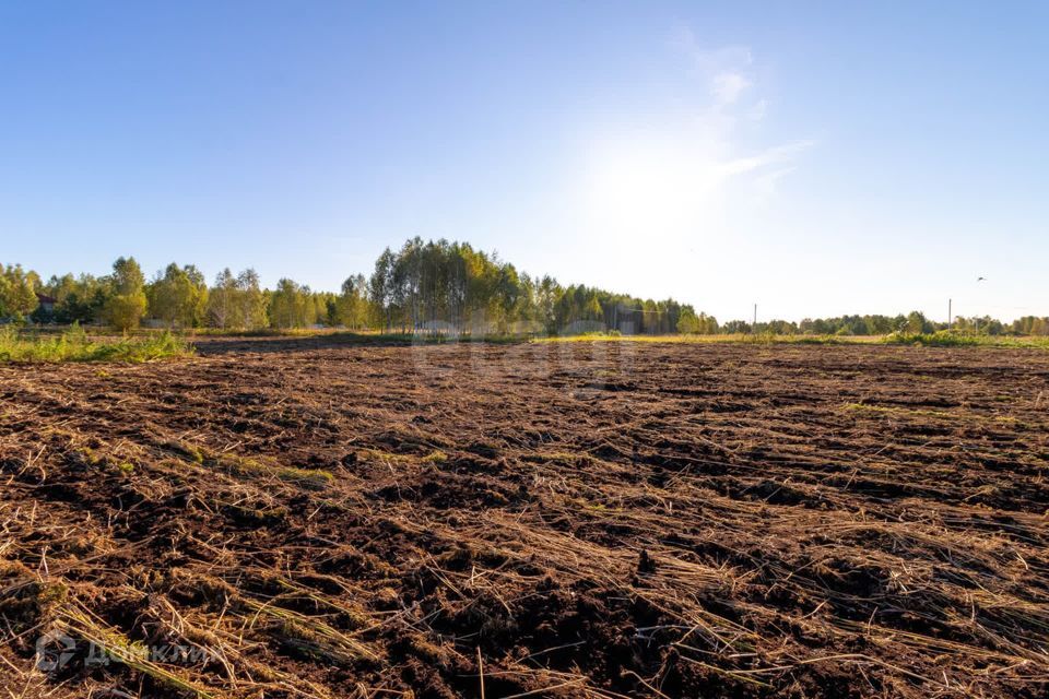 земля г Тюмень городской округ Тюмень, СНТ Облепиховое фото 8