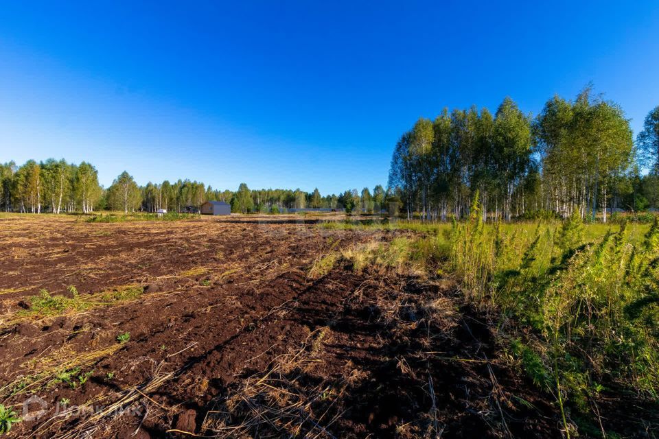 земля г Тюмень городской округ Тюмень, СНТ Облепиховое фото 9