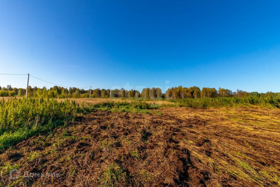 земля г Тюмень городской округ Тюмень, СНТ Облепиховое фото 9