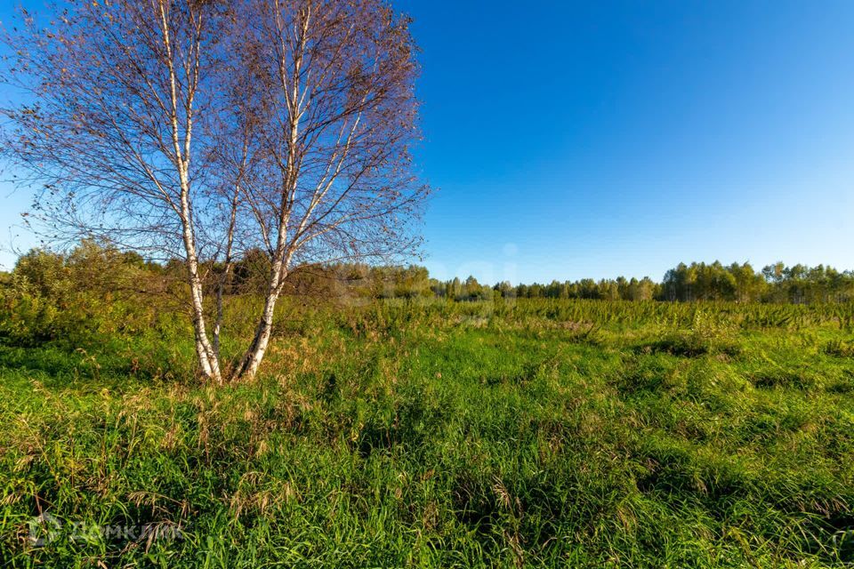 земля г Тюмень городской округ Тюмень, СНТ Облепиховое фото 10